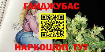 сатива Славгород