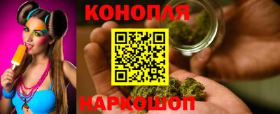 сатива Славгород