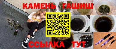 сатива Славгород