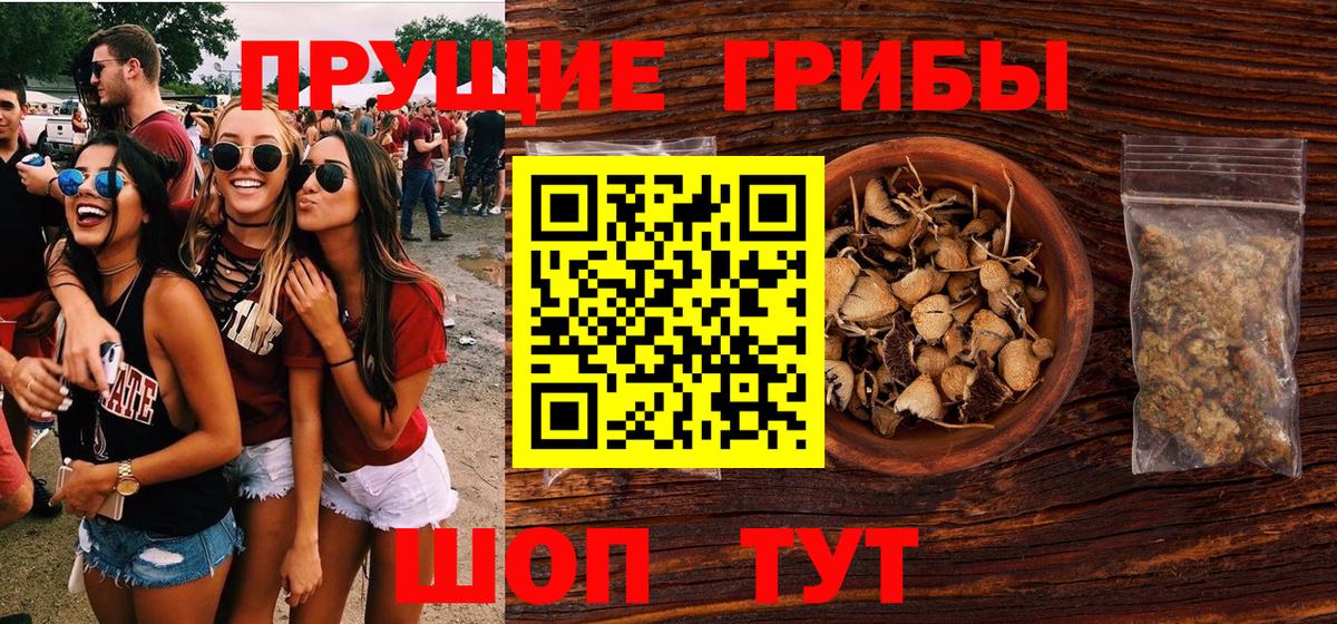 Галлюциногенные грибы Psilocybine cubensis  Псилоцибиновые грибы GOLDEN TEACHER  Новошахтинск  Вход с VPN 
